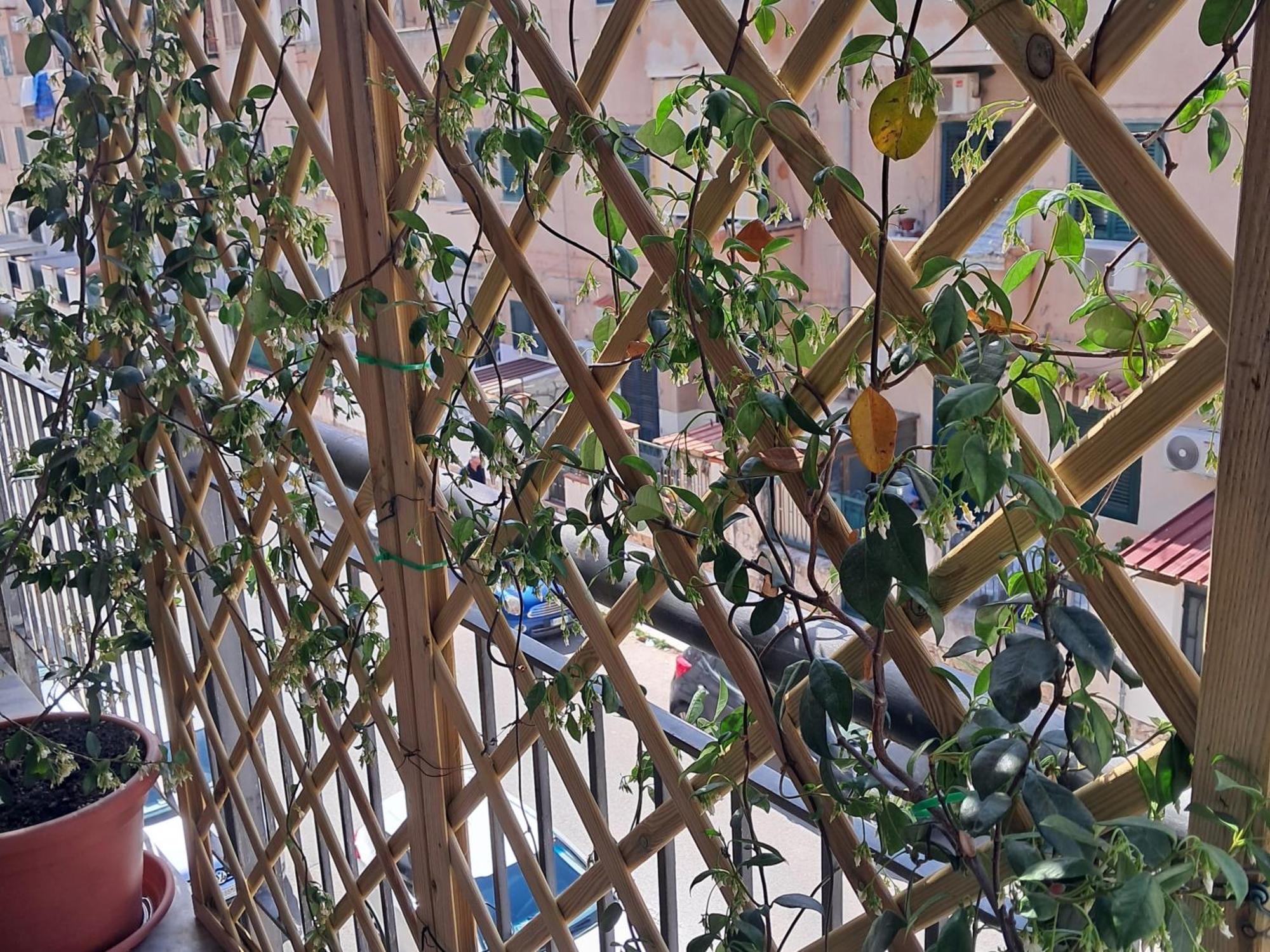 Casa Zia Rosetta Apartman Palermo Kültér fotó